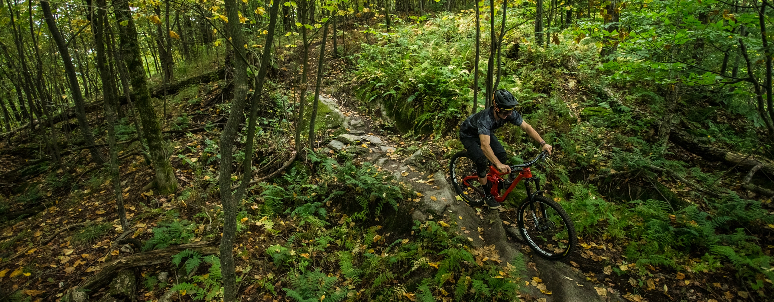 Forside -Hjelm Salg 3